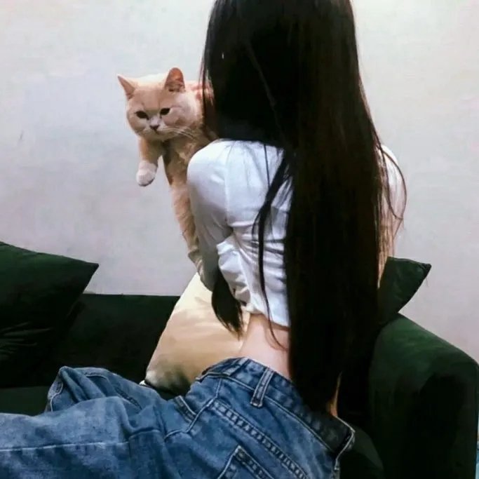 老虎扮猪夺黄金